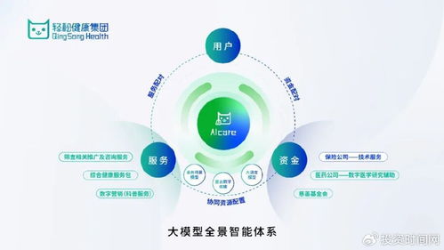 从技术创新到社会价值 轻松健康集团如何通过信息技术咨询服务实现健康普惠