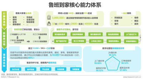 2024年中国大家居后市场服务行业发展研究报告 信息技术咨询服务
